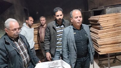 إحالة 46 محضرا بمخالفات متنوعة للنيابة العامة في الدقهلية 