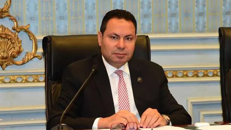 النائب هشام الحصرى،