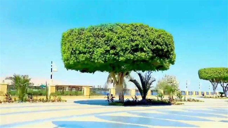 كورنيش النيل بمحافظة