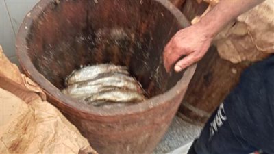 مراقبة الأغذية بالدقهلية تكثف حملاتها بالمرور على 220 منشأة خلال أسبوع