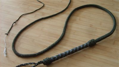 تفسير حلم الضرب بالكرباج فى المنام وعلاقته بالكلام القبيح وكثرة الحزن 