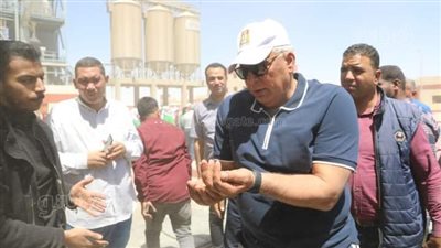 بدء توريد الأقماح بصوامع الغلال في الوادي الجديد