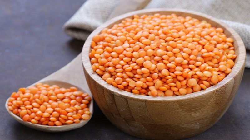 أسعار العدس اليوم،
