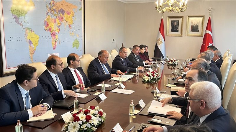 وفدي الخارجية المصري