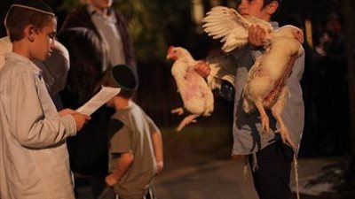 بسبب قفص دجاج عراك كبير بين المستوطنين الإسرائيليين|فيديو 