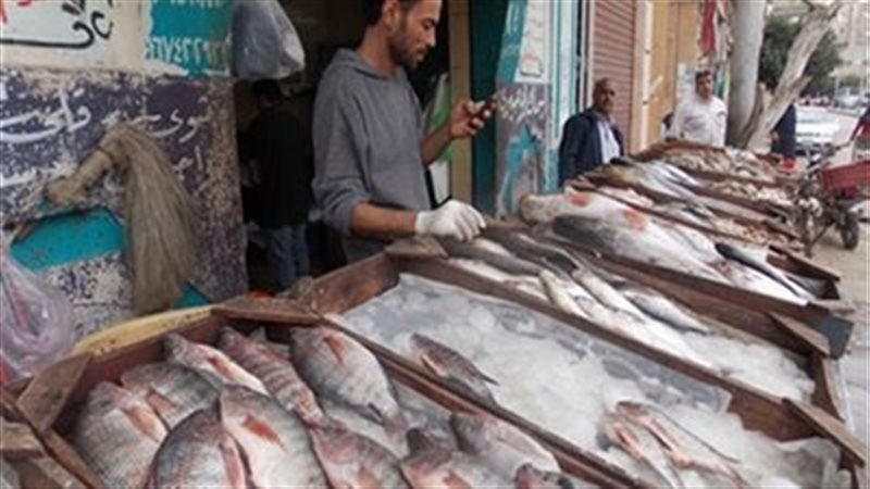 أسعار الأسماك بالدقهلية