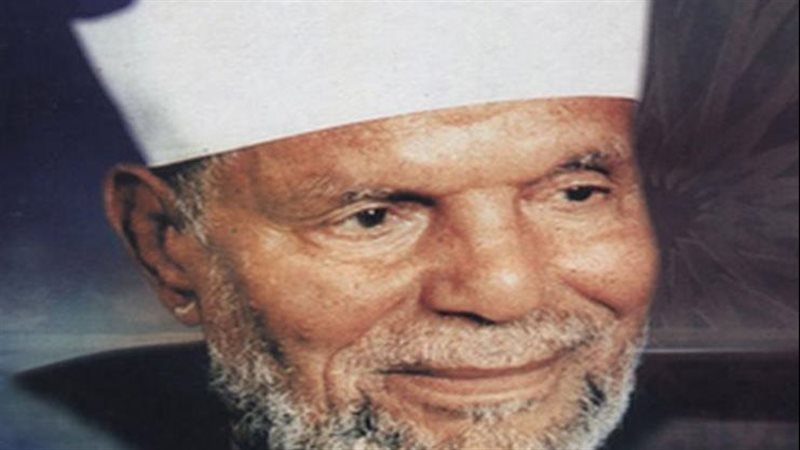 الشيخ محمد متولى