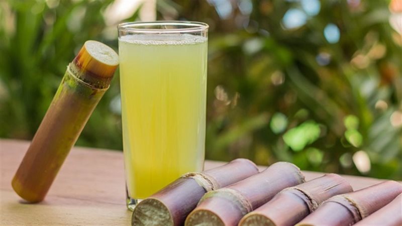 تفسير رؤية القصب