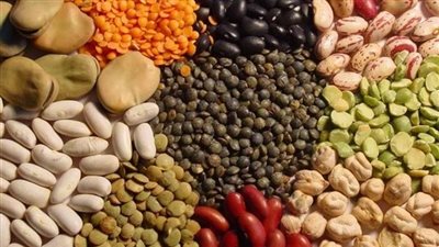 أسعار البقوليات اليوم السبت 18-9-2021 في الدقهلية 