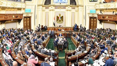 هل يحق لنائب البرلمان الاشتراك في أكثر من لجنة نوعية؟