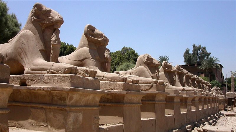 طريق الكباش