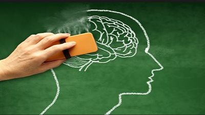 6 أطعمة تساعدك في تحسين وتقوية الذاكرة