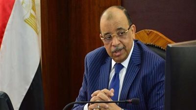 وزير التنمية المحلية: 3500 مشروع صغير ومتوسط نفذها 
