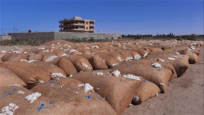 اجتماعات بين وزيري التجارة وقطاع الأعمال لبحث استعدادات تطبيق منظومة تداول الأقطان.. وربطها بالأسعار العالمية لتحقيق سعر عادل للمزارعين