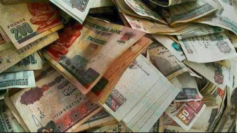 إخلاء سبيل 12 متهم