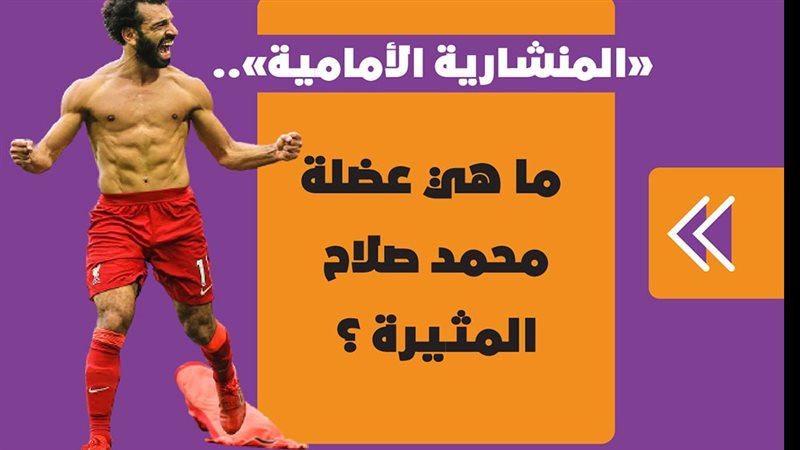 «المنشارية الأمامية»..