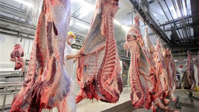 أسعار اللحوم اليوم الاثنين 20-9-2021 في المنيا