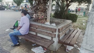 الإهمال والوباء والحشرات تسيطر على حديقة المنشية في الإسكندرية | فيديو