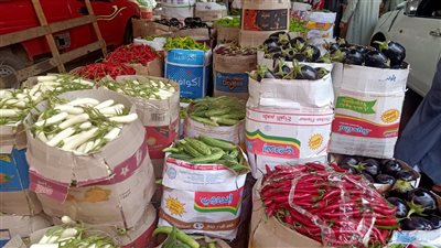 أسعار الخضروات اليوم الأربعاء 13-4-2022 بمحافظة مطروح