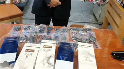 ضبط محاولة تهريب 2300 كارت ميموري بمطار برج العرب