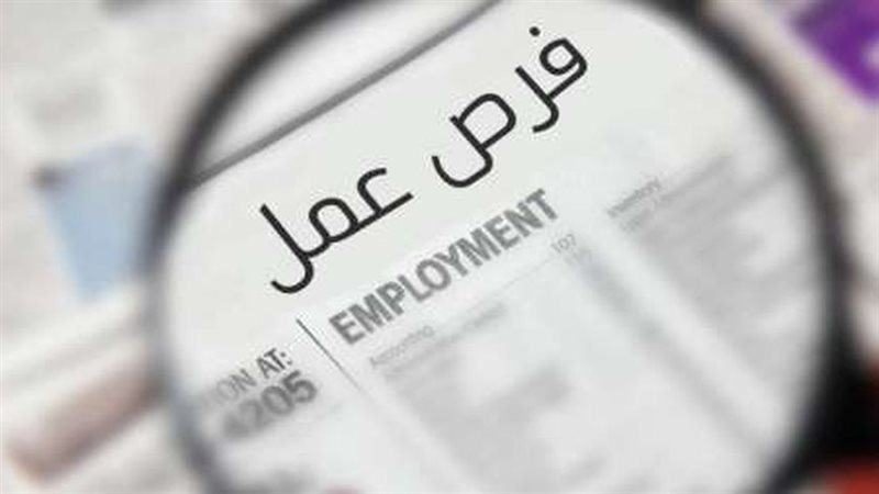 وظائف جديدة بمديرية