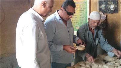 تحرير 12 محضرا لمخابز مخالفة بالتل الكبير في الإسماعيلية| صور