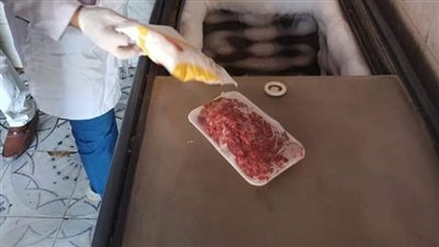 بيطري الوادي الجديد يقود حملة على الأسواق ومحلات المجمدات