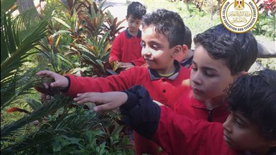 11 معلومة عن أول دبلومة مصرية يابانية متخصصة في إعداد معلم 