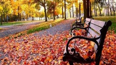 مزايا فصل الخريف على الصحة النفسية والجسدية.. اشتعال العواطف وتقوية الذاكرة