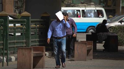 غدًا.. طقس مائل للحرارة على القاهرة الكبرى والعظمى 31 درجة 