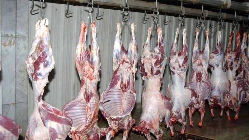 أسعار اللحوم اليوم