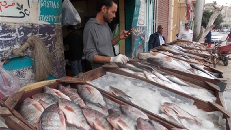 أسعار الأسماك