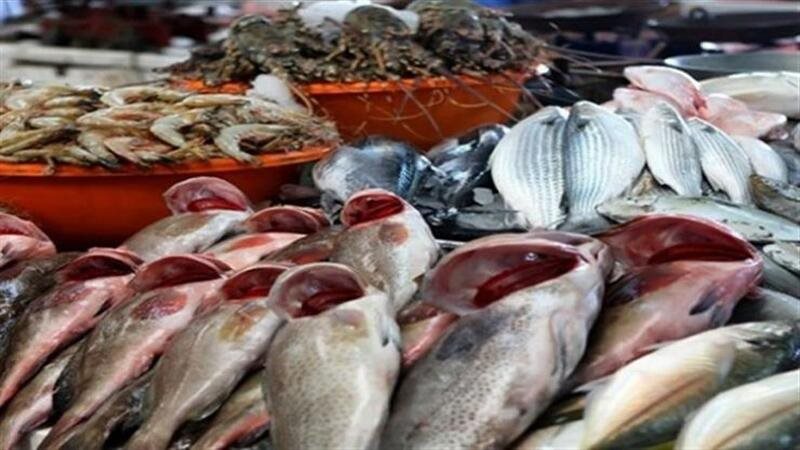  أسعار الأسماك 