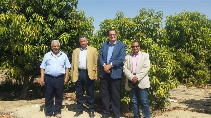 سعيد صالح مستشار