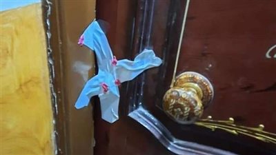 عملنا اللي علينا.. التنمية المحلية: حملات مشتركة لغلق الكيانات والمنشآت غير المرخصة