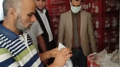 مخابز مخالفة وأسماك ولحوم فاسدة.. تفاصيل حملة تموينية مكبرة بالدقهلية 