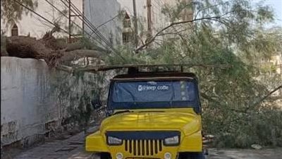  سقوط أشجار وانقطاع التيار الكهربائي بالعريش بسبب الأمطار 