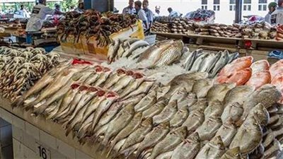 اسعار الأسماك اليوم الأربعاء 29-9-2021 في الدقهلية