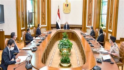 السيسي يتابع مستجدات البحث والتنقيب والاكتشافات الجديدة في مجال الطاقة وجهود توفير المنتجات البترولية