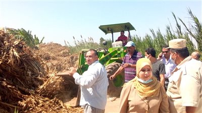 تنفيذ 500 إزالة في الموجة الـ18 بالدقهلية | صور 