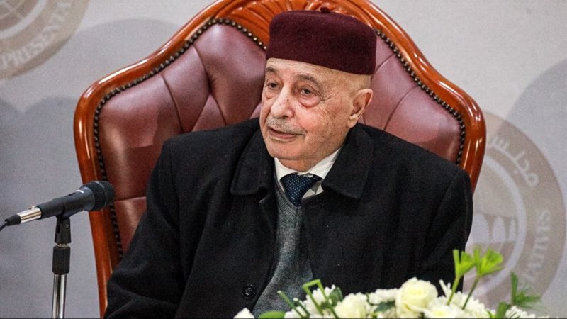 عقيلة صالح، فيتو