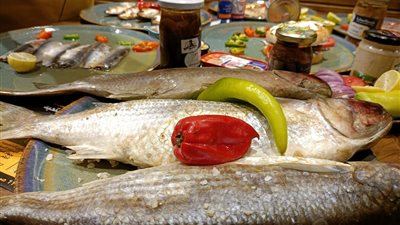  أسعار الفسيخ في الأسواق خلال موسم عيد الفطر 2024