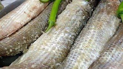 طبيب بيطري: الملوحة أقل خطورة من الفسيخ لهذا السبب