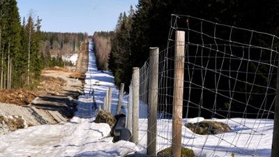 دولة أوروبية تبدأ في إقامة سياج حديدي على حدودها مع روسيا