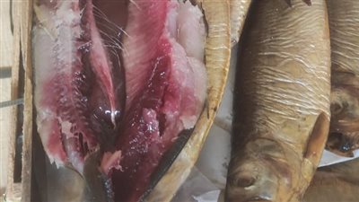 قبل ساعات من حلول العيد، الصحة تضبط 48 طن أسماك ورنجة فاسدة 