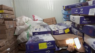 التحفظ على 7 أطنان أسماك ودقيق مجهول المصدر في الدقهلية 