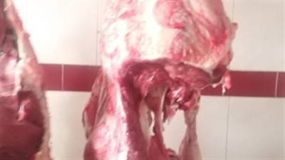ضبط 30 كيلو لحوم بأختام مزورة في الأقصر