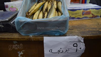 التموين تطرح الرنجة في المجمعات الاستهلاكية بـ 90 جنيها (صور)