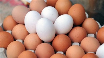 تعرف على أنواع البيض، والفروقات السعرية بين الأحمر والأبيض