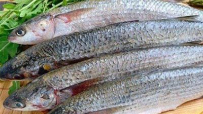 أسباب حدوث التسمم عند تناول الملوحة والفسيخ